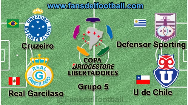 Copa Libertadores 2014 grupo 5