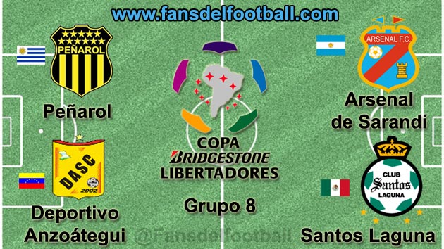 Copa Libertadores 2014 grupo 8
